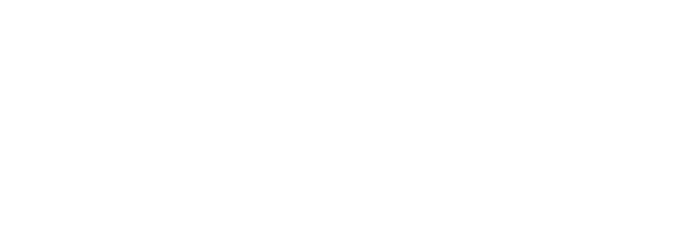 logo dynacité blanc