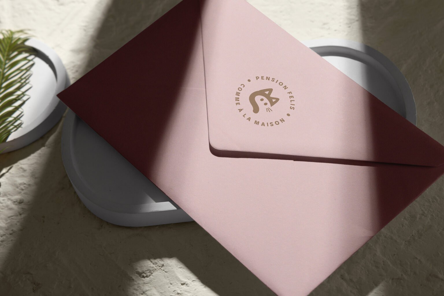 enveloppe rose poudré et logo circulaire pension felis marron