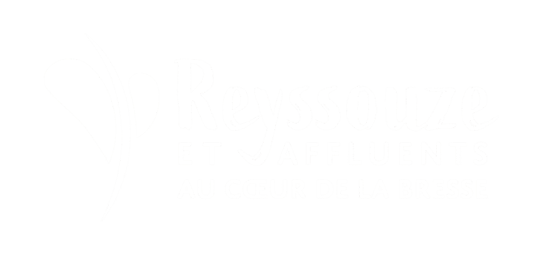 logo reyssouze et affluents blanc