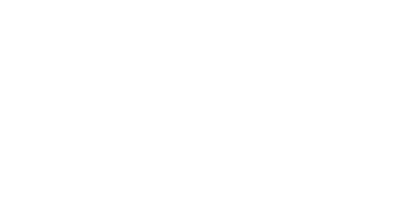 logo pension felis